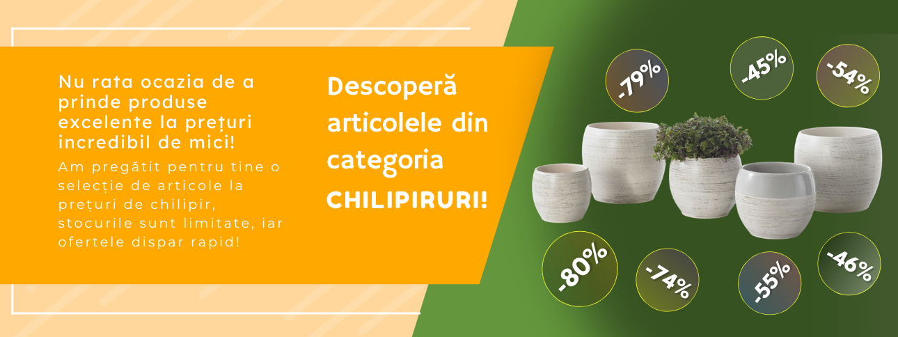 Chilipiruri