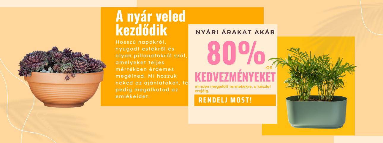 80% Reducere